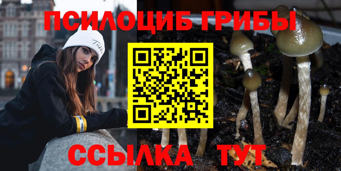 Назрань  Псилоцибиновые грибы GOLDEN TEACHER  Галлюциногенные грибы мухоморы  Вход с VPN 