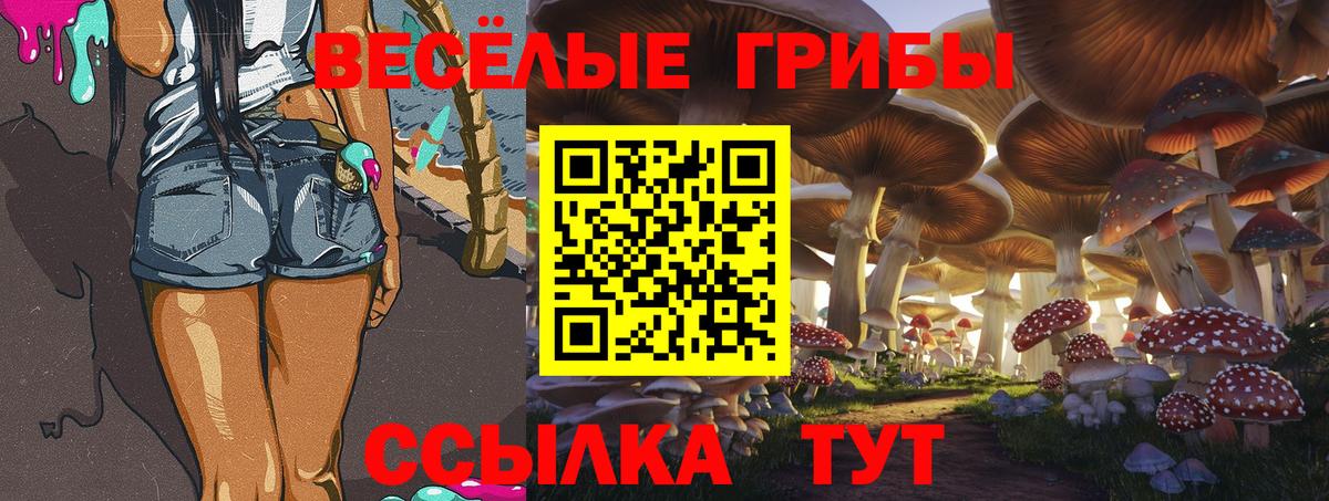 Галлюциногенные грибы MAGIC MUSHROOMS Назрань